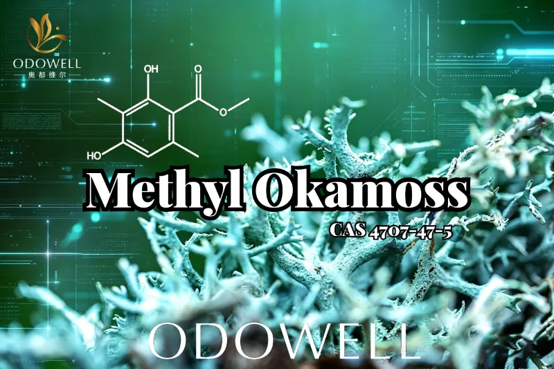 ODOWELL воведува метил окамос: автентична синтетичка дабова мов за мајсторство Chypre и Fougère