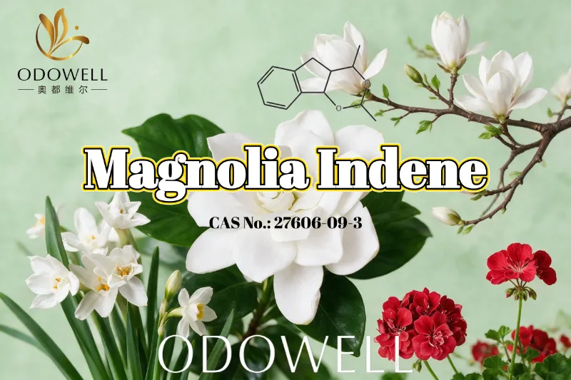 ODOWELL препорачува Magnolia Indene за свежо цветно-зелен и цитрусен мирис